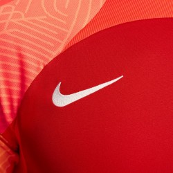 Maillot Nike Dri-FIT Strike 3