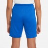 Short Nike Dri-FIT Park 3