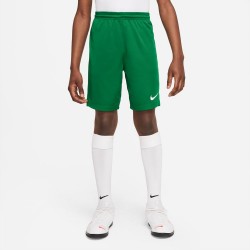 Short Nike Dri-FIT Park 3