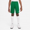 Short Nike Dri-FIT Park 3