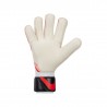 Gants Nike Goalkeeper Vapor Grip3