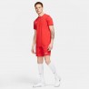 Short Nike Dri-FIT Park 3