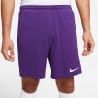 Short Nike Dri-FIT Park 3