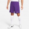 Short Nike Dri-FIT Park 3