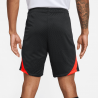 Short Nike Dri-FIT Strike