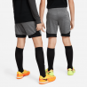 Short Nike Dri-FIT Academy