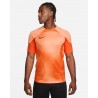 Maillot Nike Dri-FIT Gardien 4 Goalkeeper