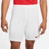 Short Nike Dri-FIT Park 3