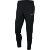 Pantalon Nike Dri-FIT Academy